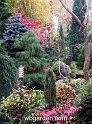 wbgarden autumn 51